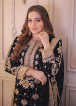 Elegant Embroidered Sequence & Rivet Moti Work Designer Set