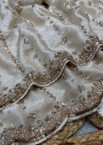 Grand party Wear Saree