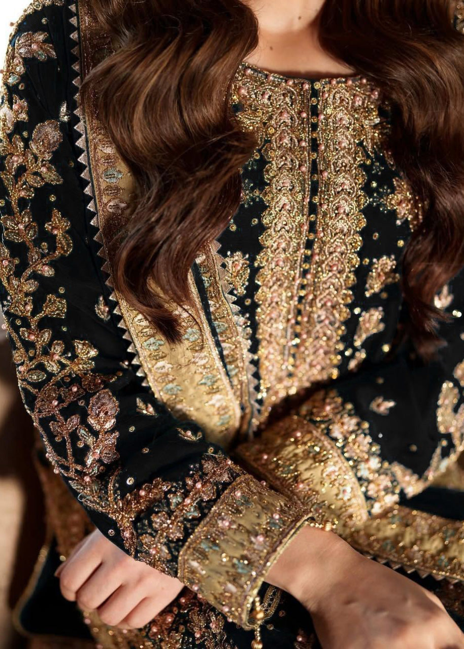 Elegant Embroidered Sequence & Rivet Moti Work Designer Set